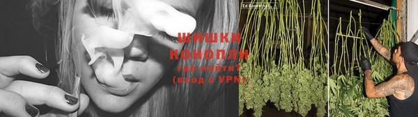 PSILOCYBIN Алексеевка