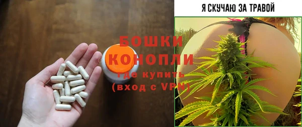 ешки Алзамай
