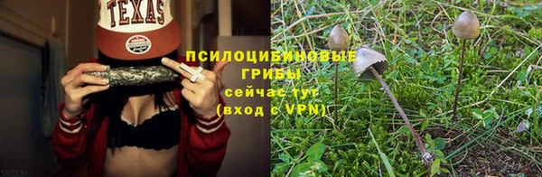 PSILOCYBIN Алексеевка